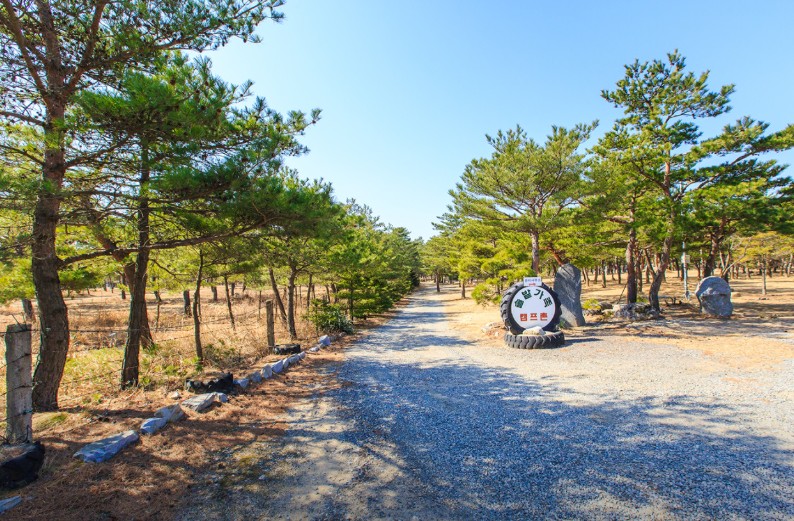 양양 솔밭가족캠프촌 이미지 1