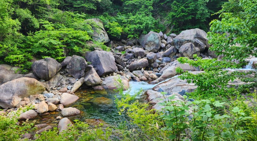 우니메이카 산청점 이미지 6