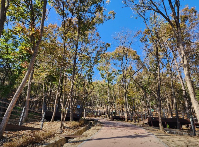 성북동숲속야영장 이미지 2