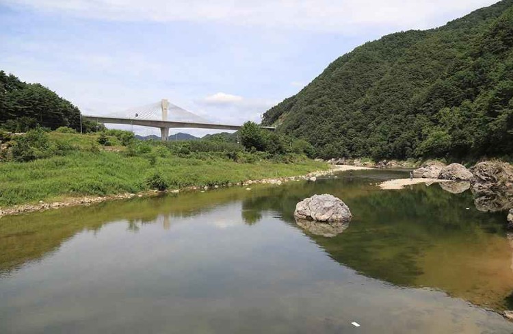 인제 내린천솔밭힐링캠핑장 이미지 3