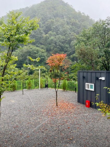 수복캠핑장 이미지 4