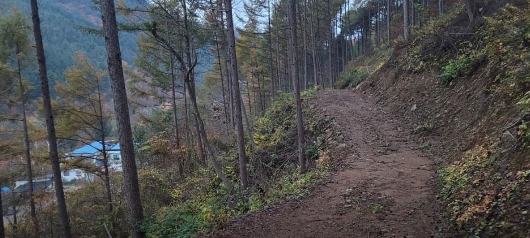 늘솔길 이미지 6