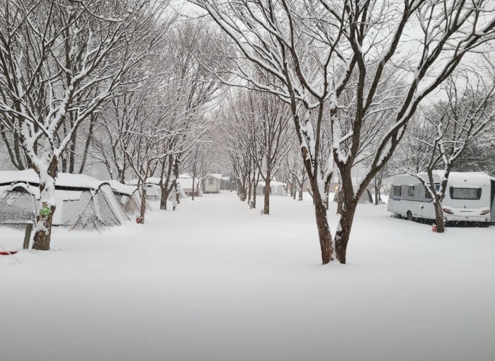 영월 남강캠프 이미지 3