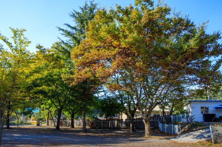 쿠키오토캠핑장 이미지 2