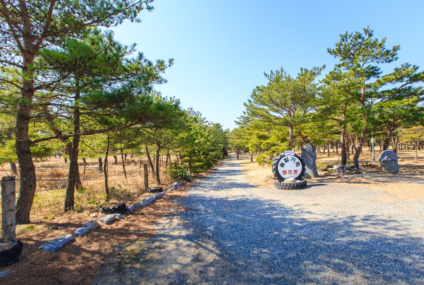 양양 솔밭가족캠프촌 이미지 6