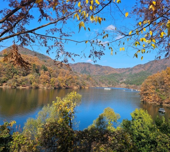 충주카누캠핑장 이미지 1