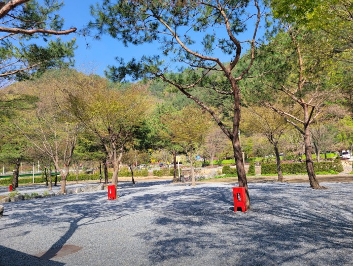 영월 청산캠프 이미지 5