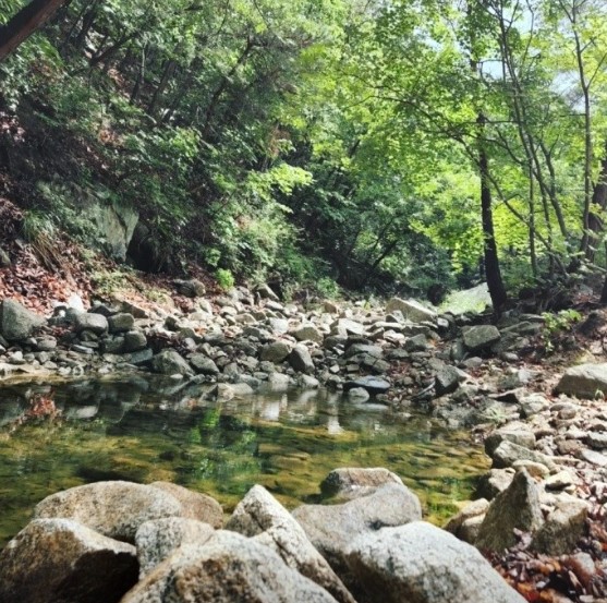 용화산테마파크캠핑장 이미지 2