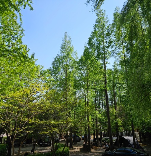 무릉관광농원 이미지 7