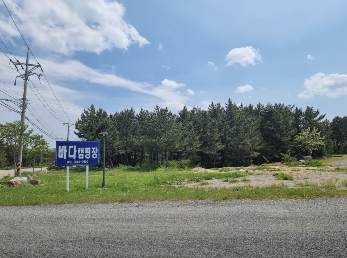 양양 바다캠핑장 이미지 7