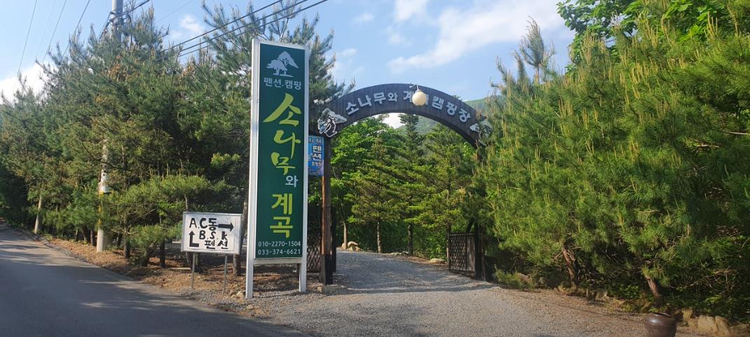 영월 소나무와계곡 이미지 7