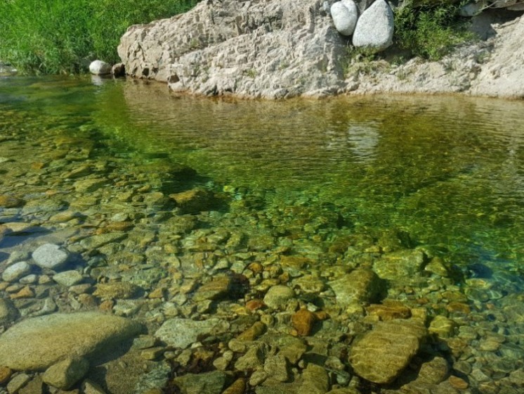 오색산새소리캠핑장 이미지 8