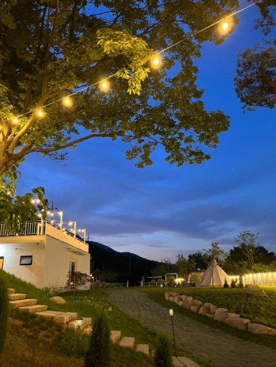 산내956 이미지 1