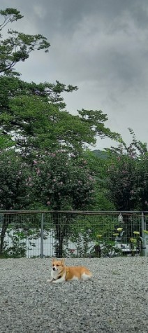 별빛 은하수 캠핑장 이미지 1