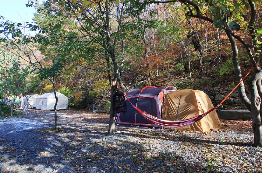 경주 월계수오토캠핑 이미지 2