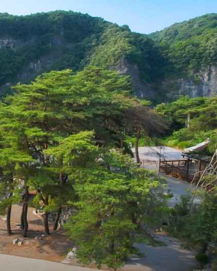 영월한반도캠핑장 이미지 5