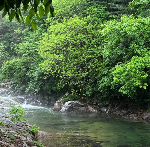 영월 남강캠프 이미지 7