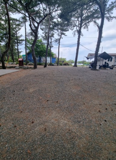 양양 바다캠핑장 이미지 3