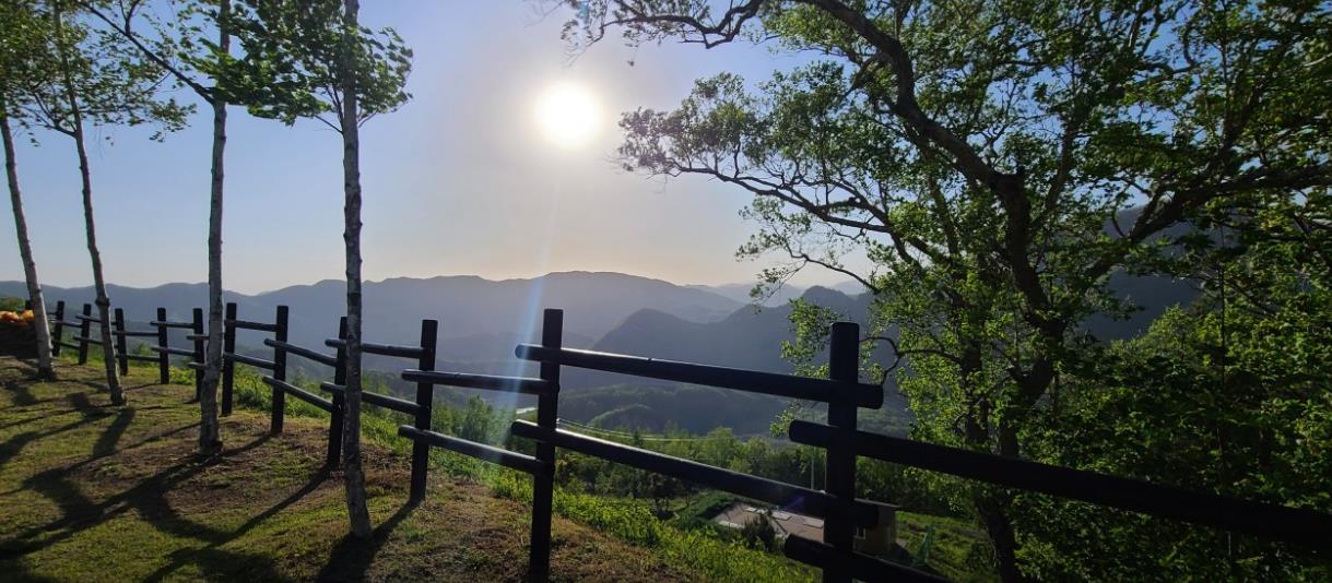 동강전망휴양림오토캠핑장 이미지 1