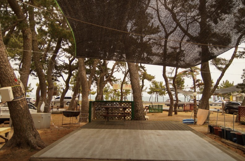 경주 관성해수욕장 솔밭캠핑장 이미지 2