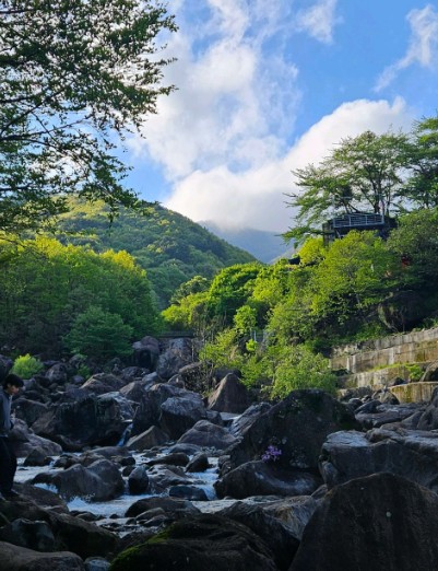 산청 지리산숲속의쉼터 이미지 4