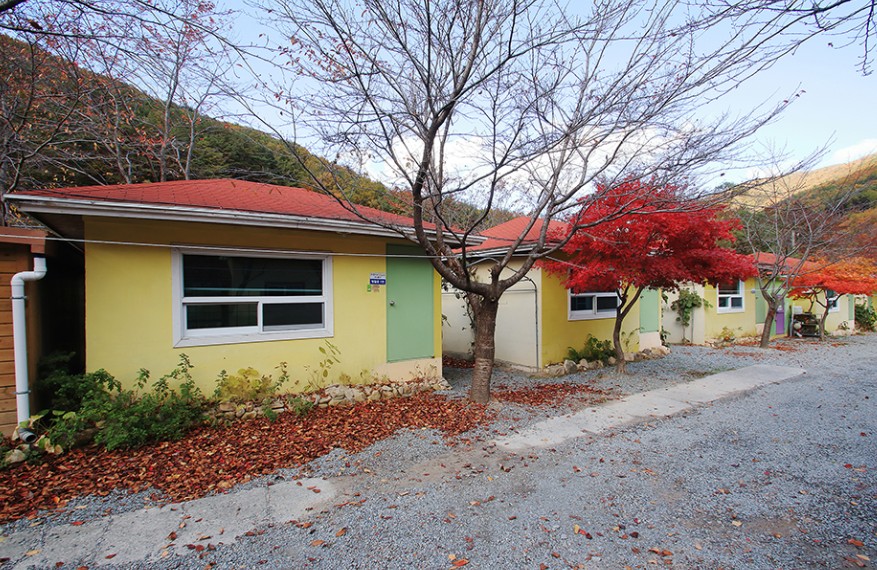 경주 월계수오토캠핑 이미지 4