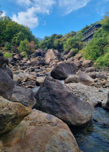산청 지리산숲속의쉼터 이미지 5