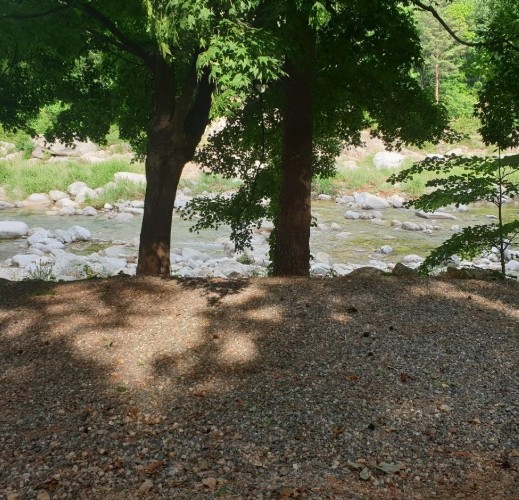 양양 수봉야영장 이미지 9