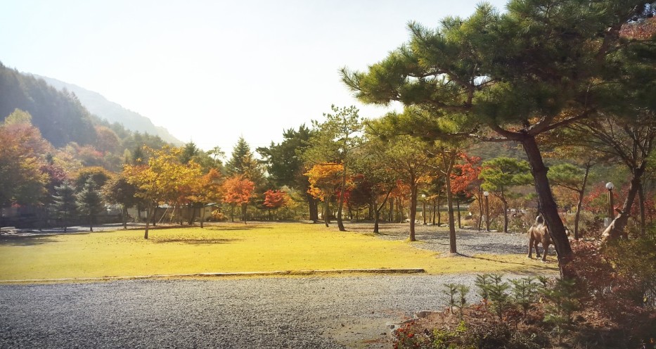 영월 뜨란솔 캠핑장 이미지 6