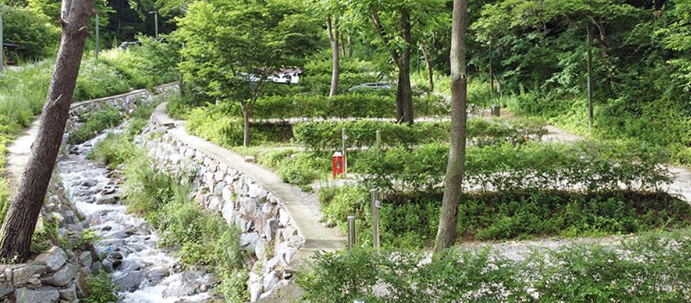 인제 진동리국민여가캠핑장 이미지 1