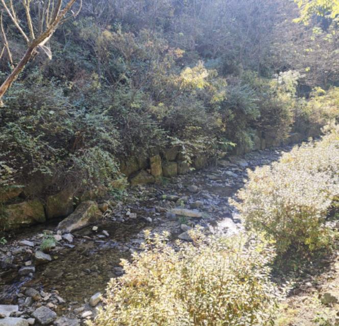 포천 포시즌스캠핑장 이미지 5