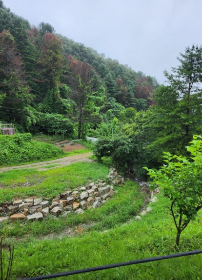 우니메이카 춘천점 이미지 5