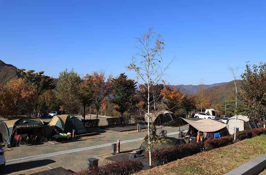 동강전망휴양림오토캠핑장 이미지 5