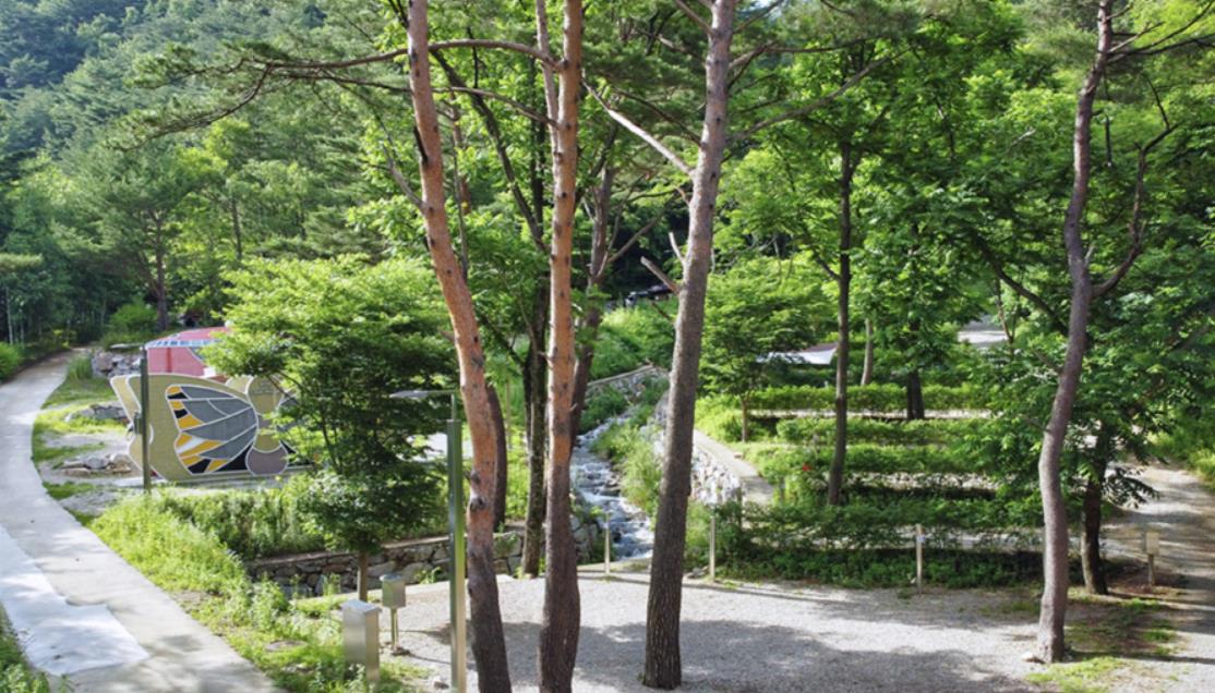 인제 진동리국민여가캠핑장 이미지 3