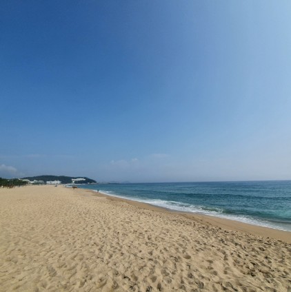 양양 낙산해변송림야영장 이미지 6