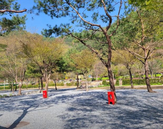 영월 청산캠프 이미지 4