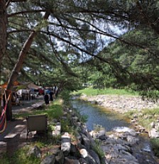 영월키즈캠핑장 이미지 4