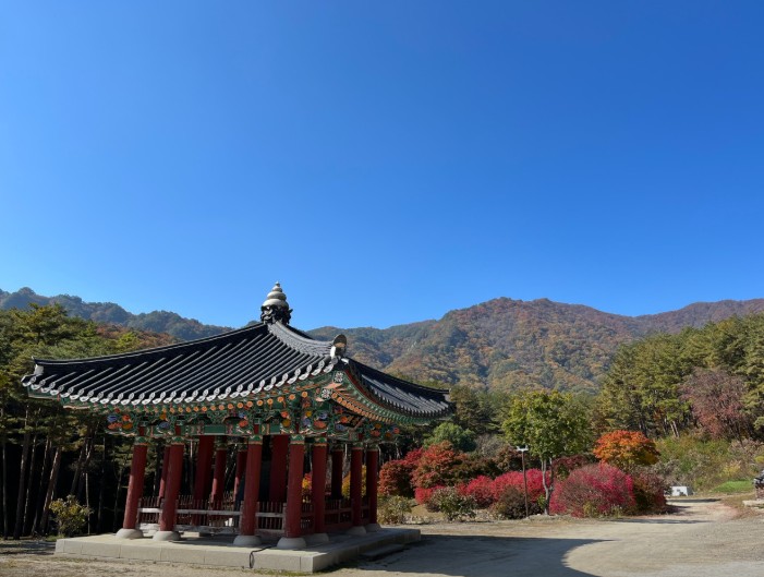 영월 하얀여울캠핑장 이미지 7