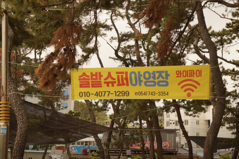 경주 관성해수욕장 솔밭캠핑장 이미지 1