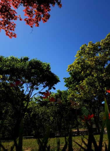 영월 하얀여울캠핑장 이미지 6