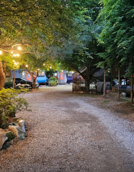 레인보우키즈카라반 이미지 11