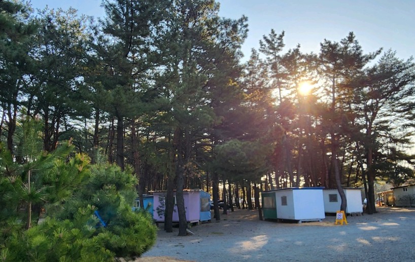 양양 솔바다 캠핑장 이미지 6