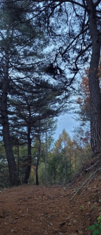 늘솔길 이미지 7