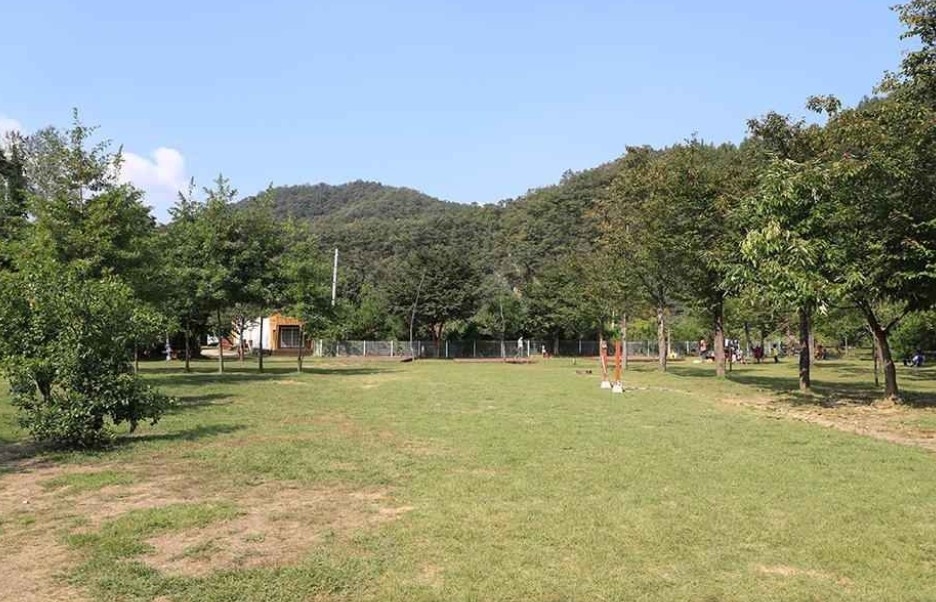 양양 비발디캠핑파크 설악오색점 이미지 2