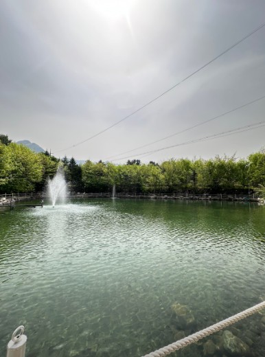 포천 도마치캠핑장 이미지 1