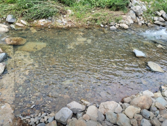 하월 오토캠핑장 이미지 7