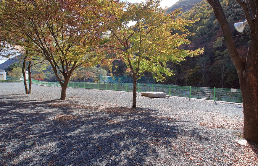 산장펜션캠프 이미지 5