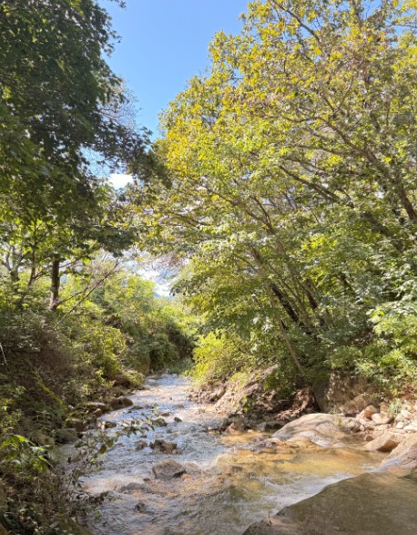 용화산테마파크캠핑장 이미지 8