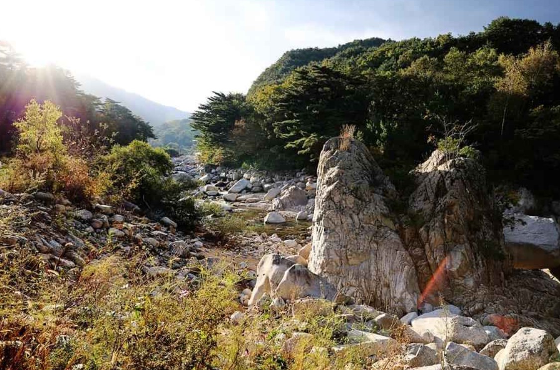양양오색휴랜드야영장 이미지 4
