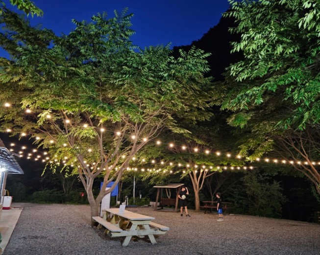 영월 첫물내기 캠핑장 이미지 2